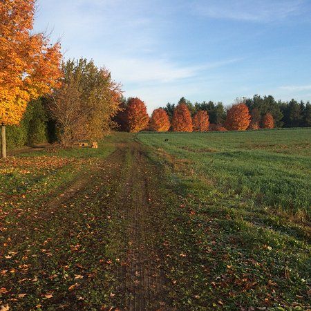 Brantwood Farm & Market