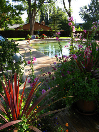 Durango Hot Springs