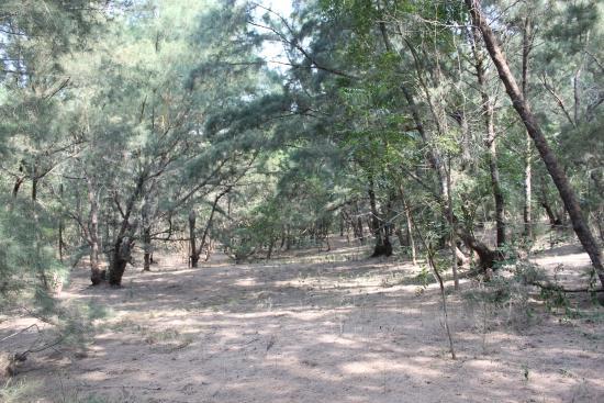 Balukhand Wildlife Sanctuary