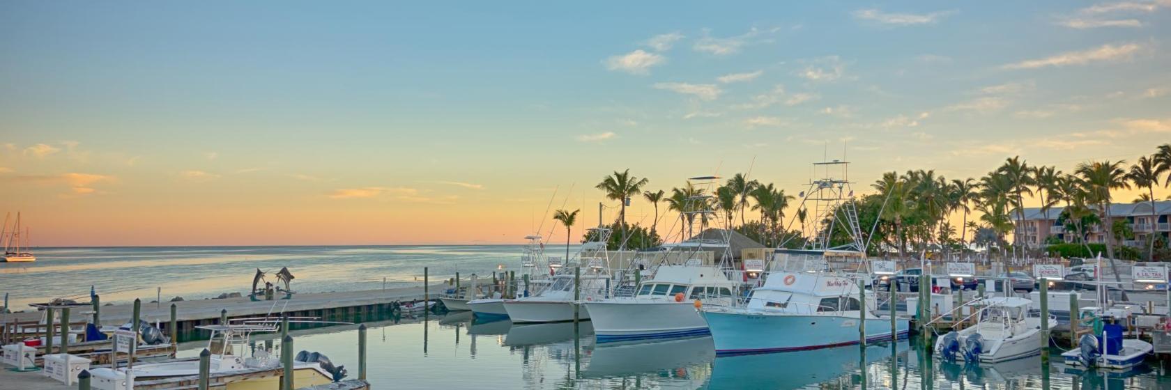 Ilha Upper Matecumbe Key