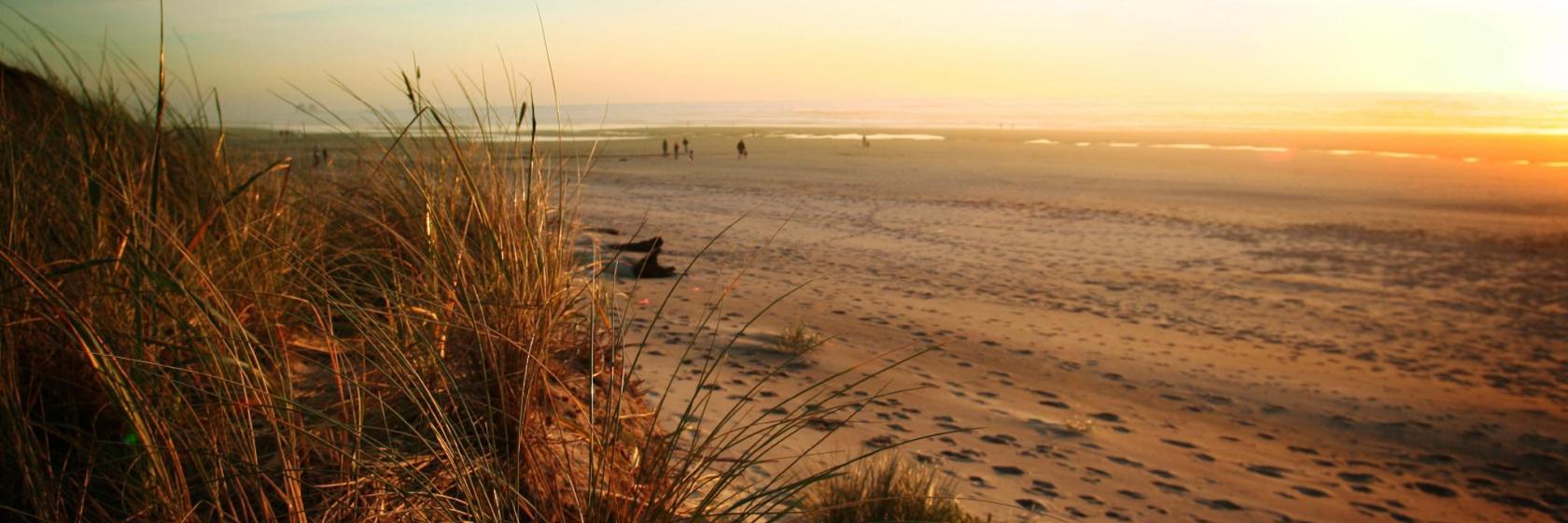 Spiaggia di Montalvo