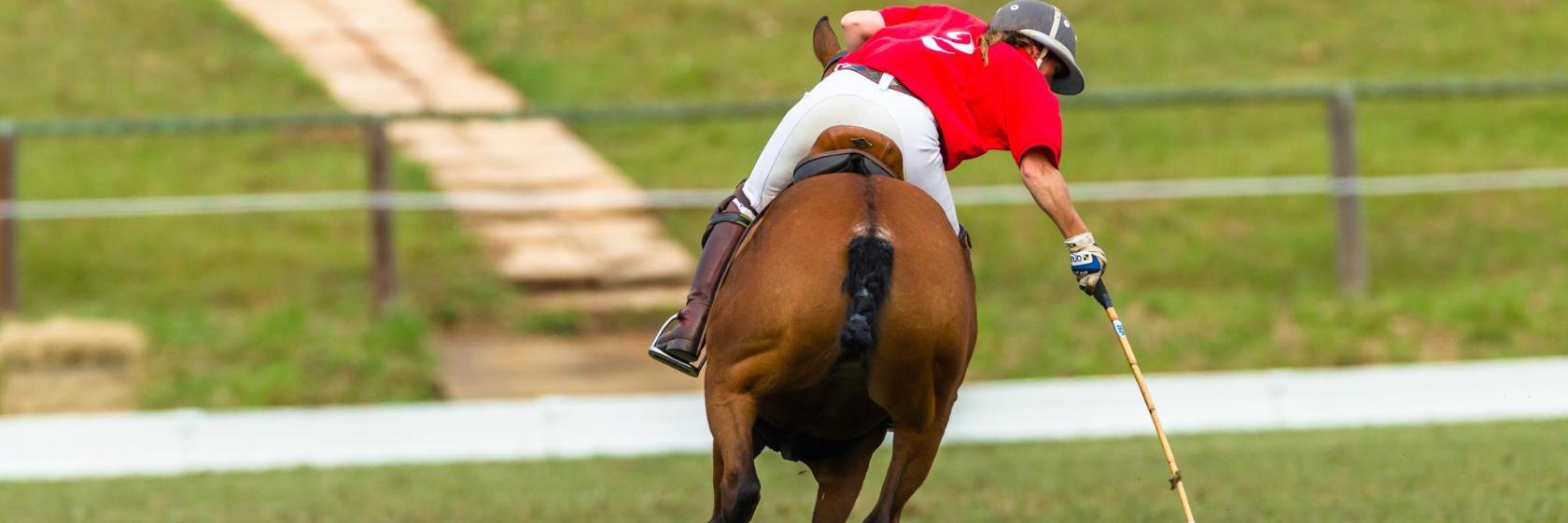Plettenberg Bay Polo Field