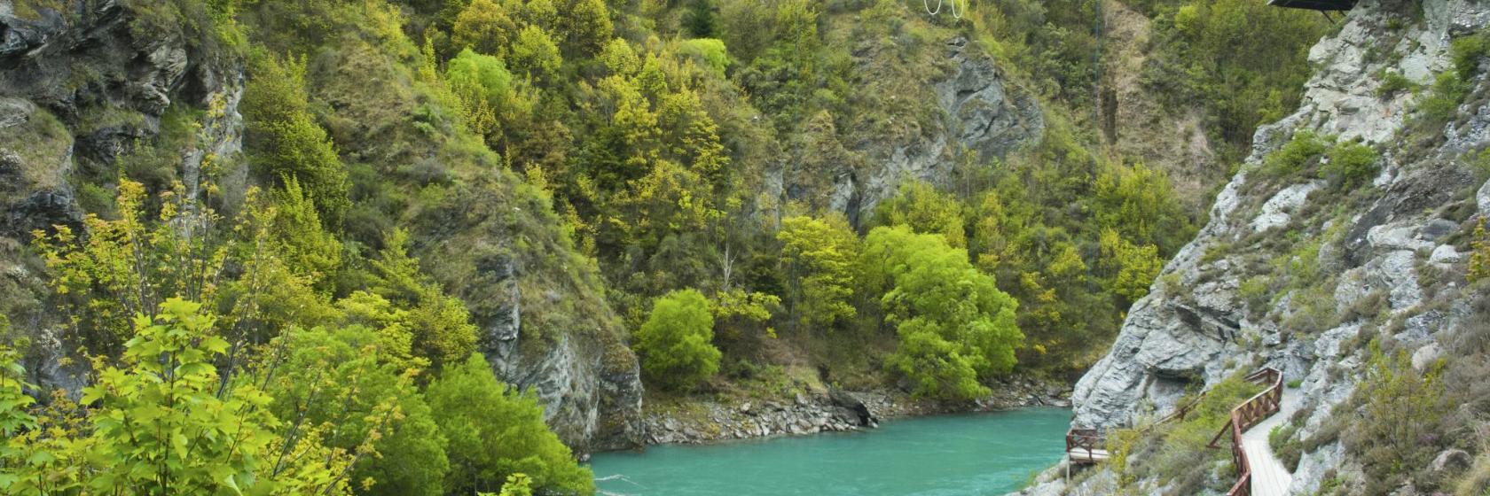 AJ Hackett Bungy Jumping