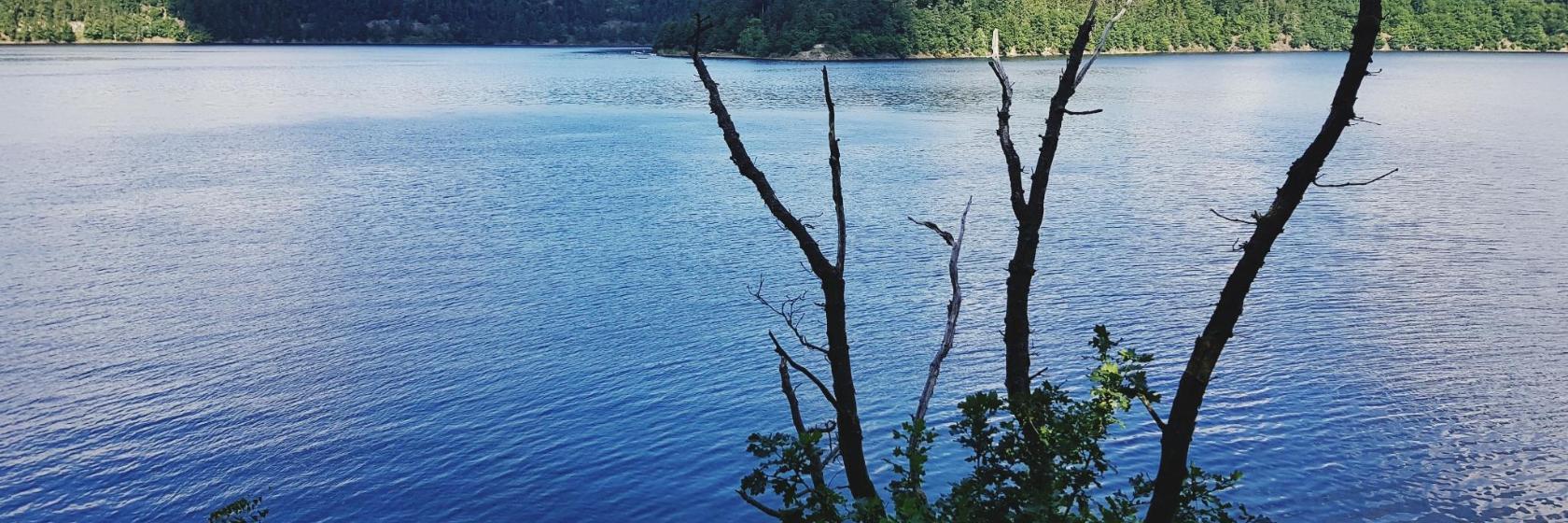 Hohenwarte-Stausee
