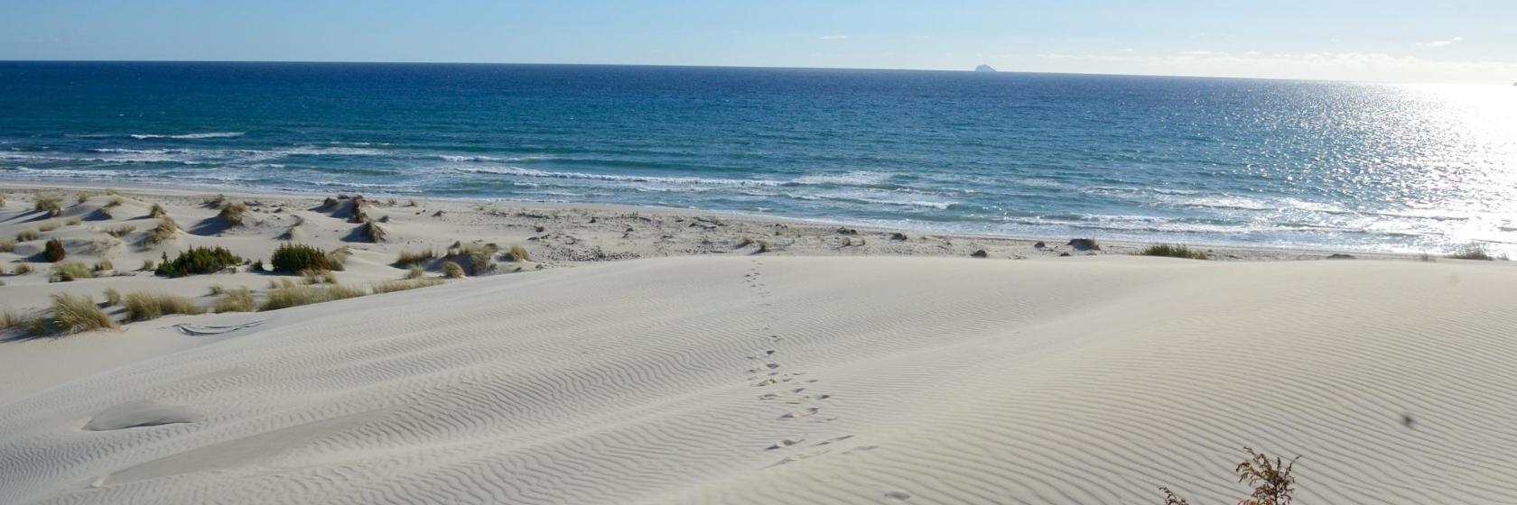 Spiaggia di Is Arenas