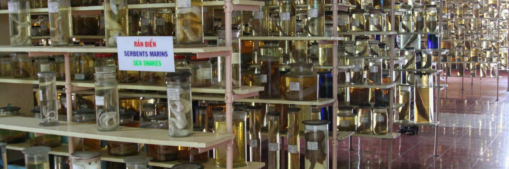 Institut Océanographique