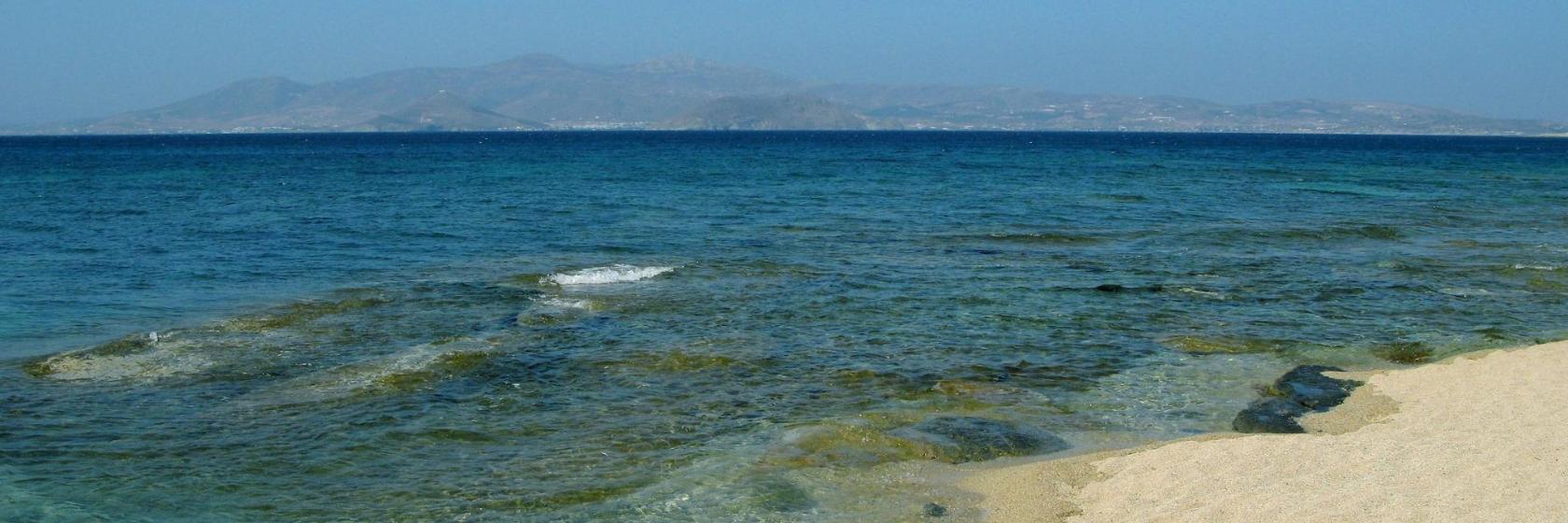 NYMΦS nectar & ambrosia Epicurean Garden