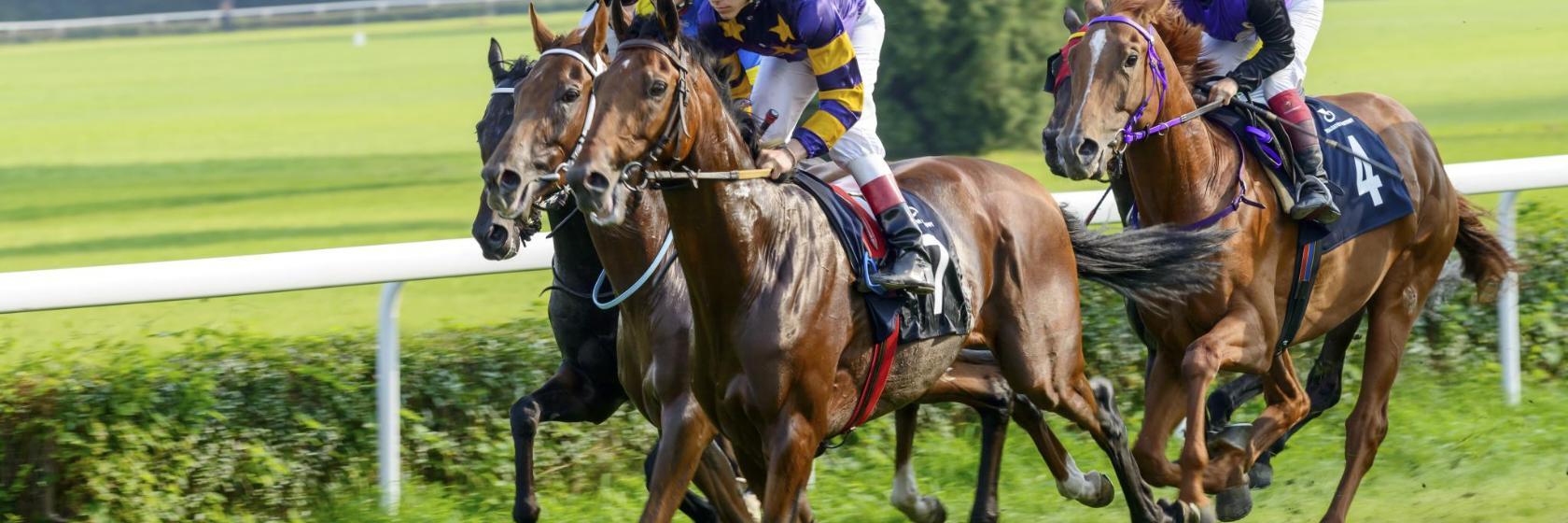 Galopprennbahn Hoppegarten