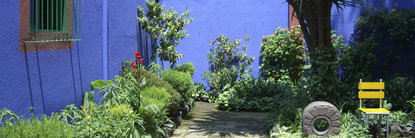 Frida Kahlo Museum