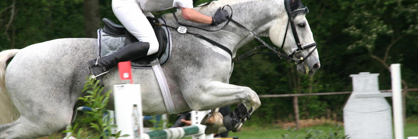 Reitstadion Aachen Soers