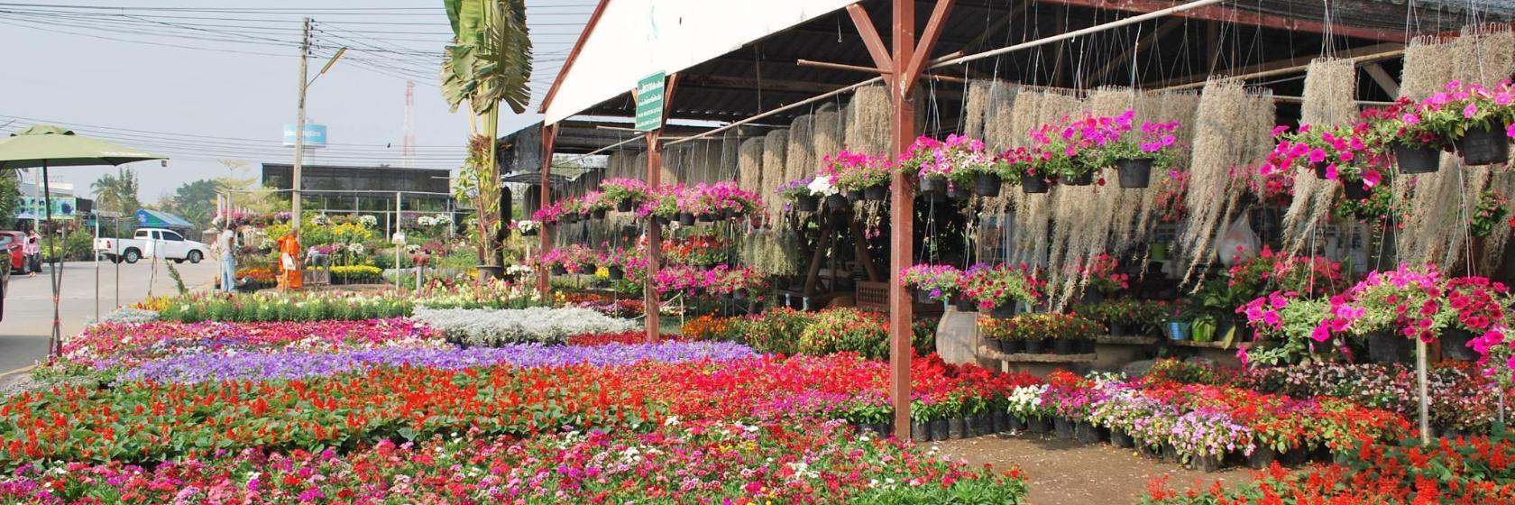 Mercado de Kham Tiang