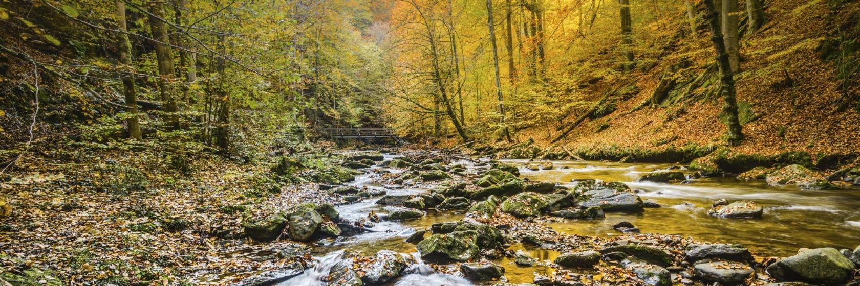 Raabklamm
