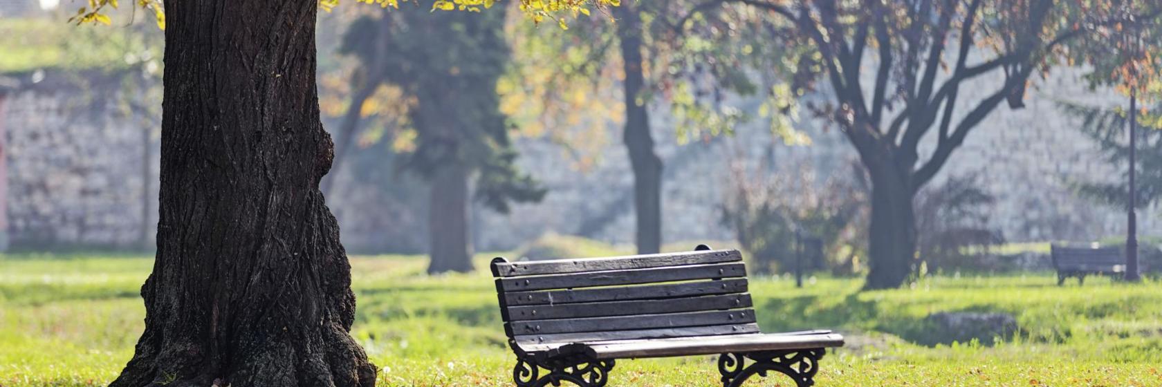 Brentwood Neighborhood Park