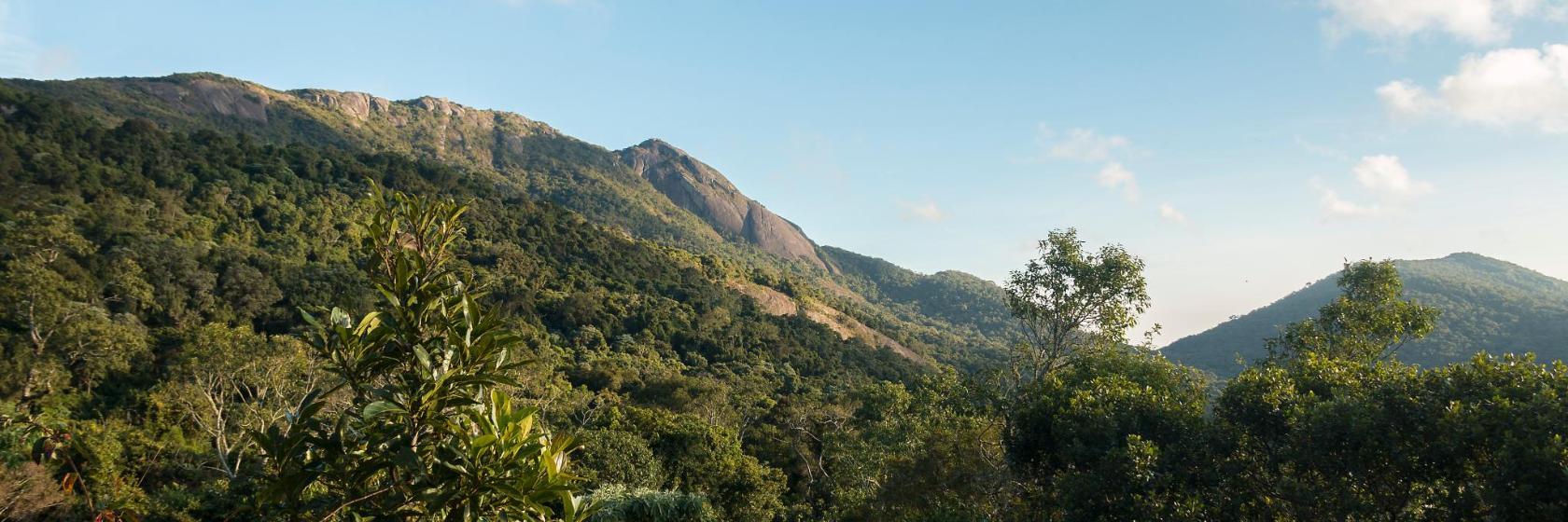 Pico do Selado