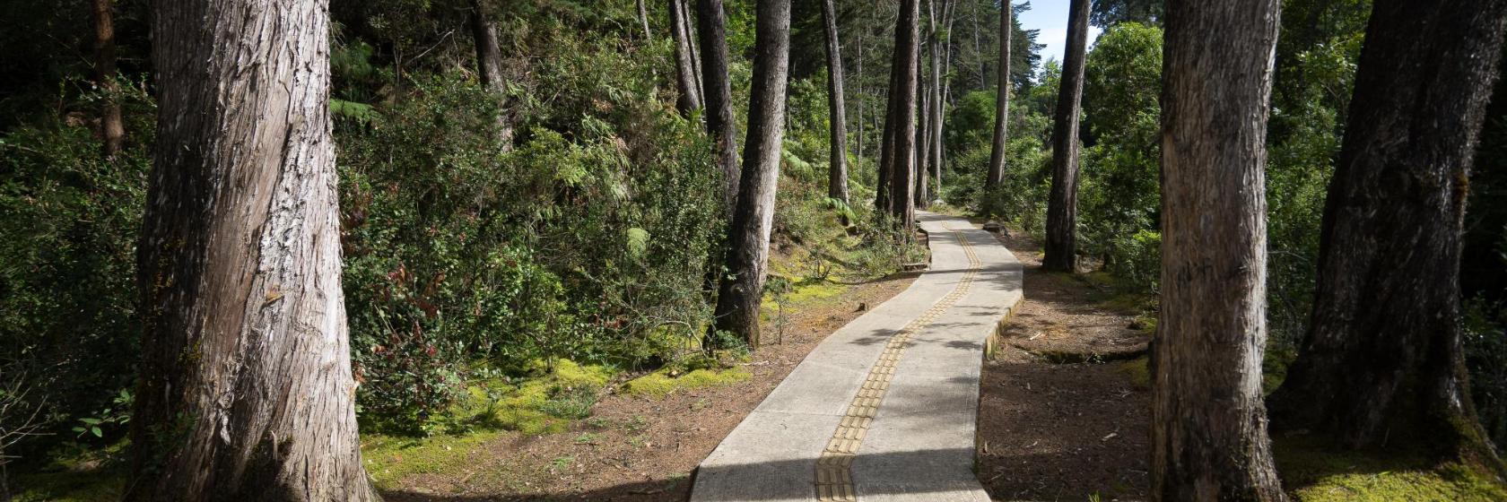 Parque Ecoturístico Arví