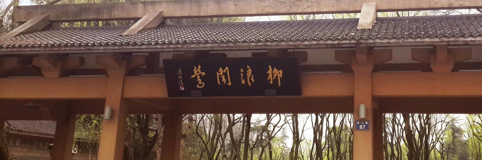 Orioles Singing in the Willows