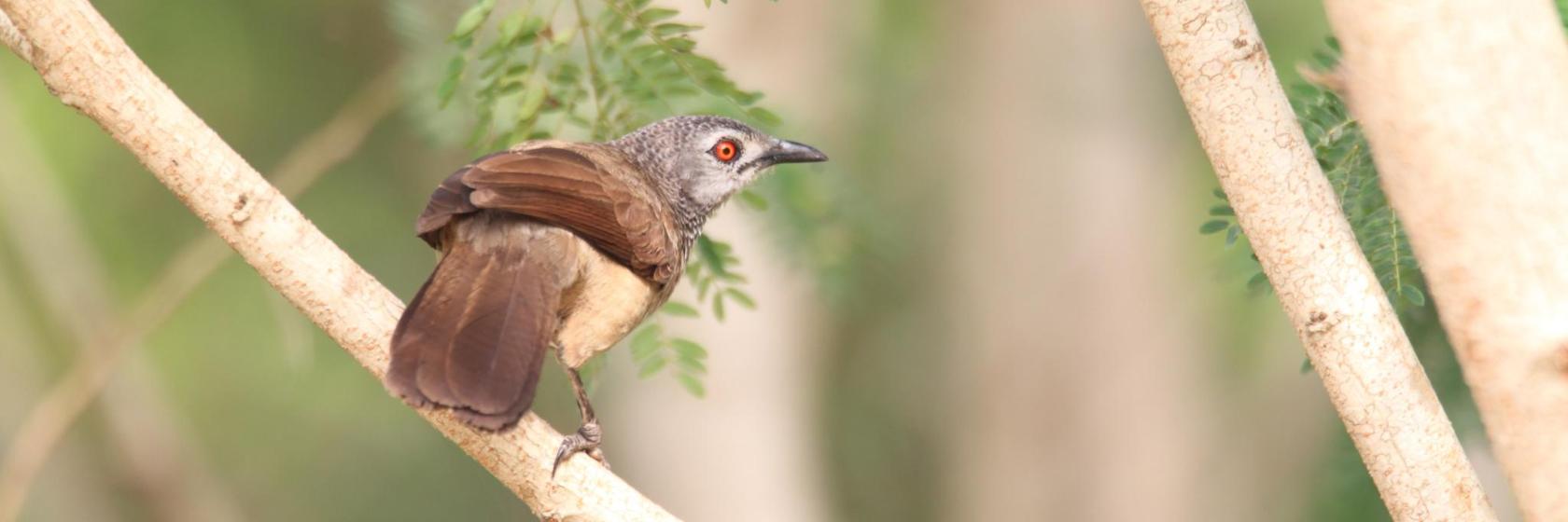 Sakumo Lagoon Protected Area