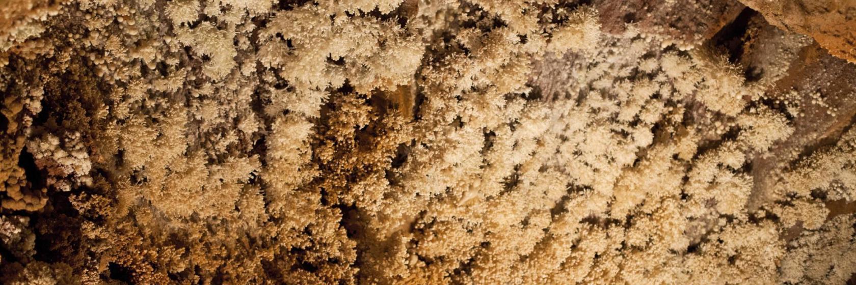 Grotte di Toirano