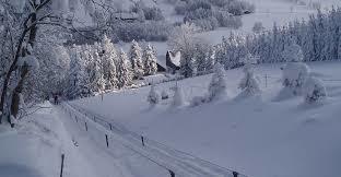 Rotterhang-Skilift