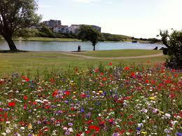 Knap Gardens