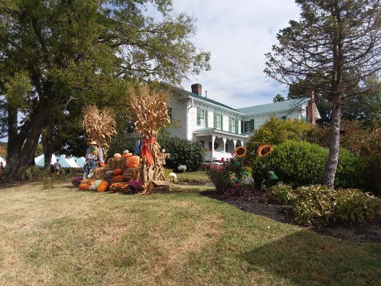 Robert A Tino Gallery