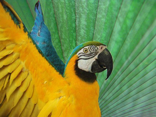 Nancy Forrester's Secret Garden