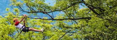 Alsace Adventure Park