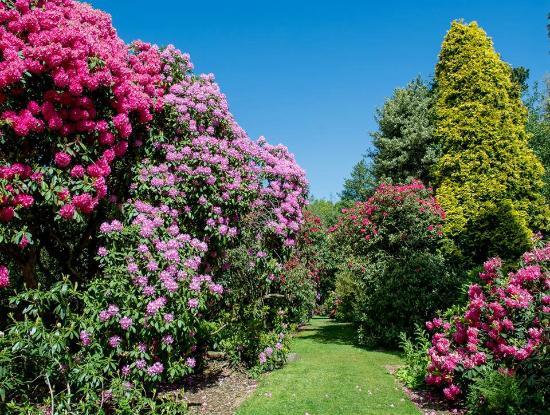 Wentworth Castle Gardens