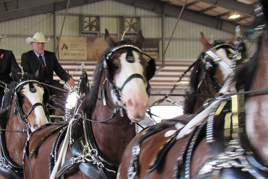 Florida Horse Park