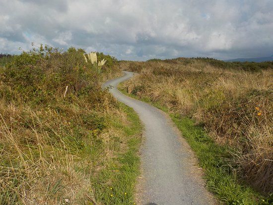 Waikanae Estuary Scientific Reserve