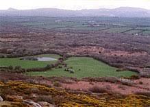 Breney Common