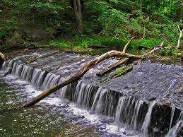 Rezerwat przyrody Jar Reknicy