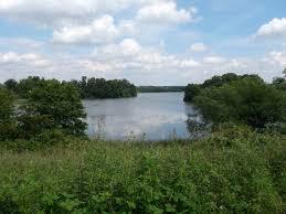 Goldensee