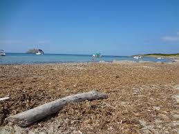 Plage de Barcaghju