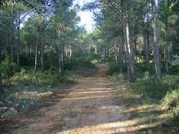 Bovalar de Sant Jordi