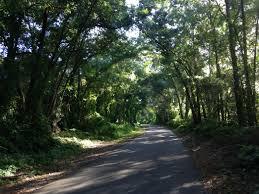 Seminole Wekiva Trail