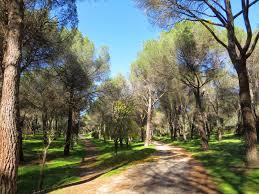 Dehesa de Navalcarbon