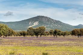 Montes de Toledo