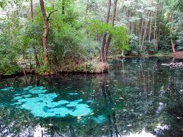 Rezerwat przyrody Niebieskie Źródła