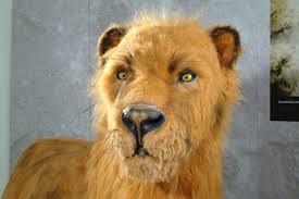 Dechenhöhle und Deutsches Höhlenmuseum Iserlohn