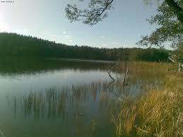 Klimek