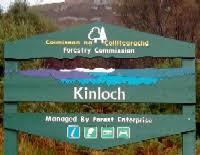 Kinloch Forest