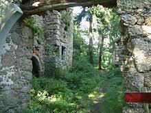 Burgruine Klingenberg