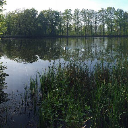 Tallesee