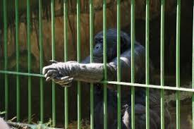 Tierpark Nadermann