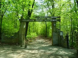 Arboretum Bramy Morawskiej