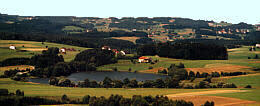 Urlsee