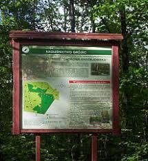 Rezerwat przyrody Dąbrowa Radziejowska