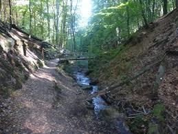 Elendsklamm