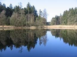 Holzweiher